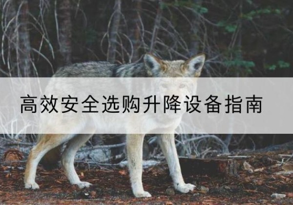 呼兰升降货梯厂家推荐-*安全选购升降设备指南