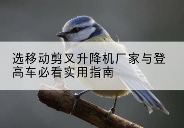 呼兰电动升降机厂家-选移动剪叉升降机厂家与登高车必看实用指南